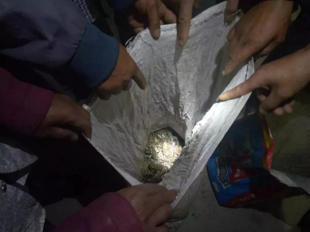 四川西昌5人抓133只野生蛙構成非法狩獵罪，各罰八千青海水土保持代辦公司