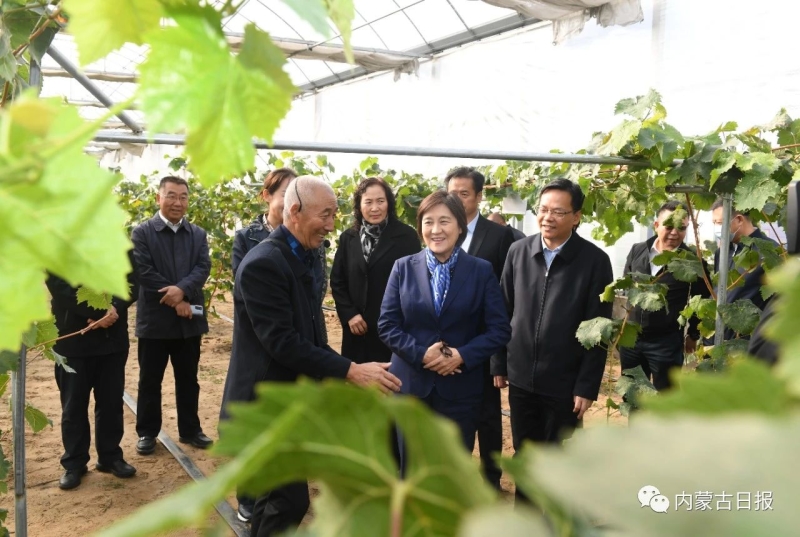 內(nèi)蒙古自治區(qū)主席：全力做好大氣污染聯(lián)防聯(lián)控聯(lián)治工作 確?！八{天保衛(wèi)戰(zhàn)”圓滿收官青海水土保持代辦公司