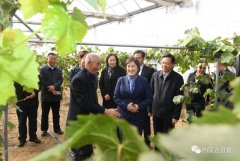 內(nèi)蒙古自治區(qū)主席:全力做好大氣污染聯(lián)防聯(lián)控聯(lián)治工作 確保“藍(lán)天保衛(wèi)戰(zhàn)”圓滿收官青海水土保持代辦公司