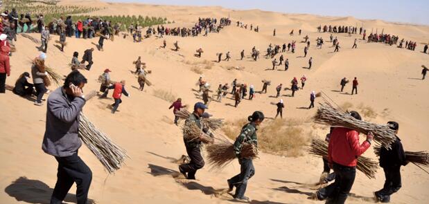 庫布其植樹節(jié)將舉行“治沙碳中和 保護母親河 ”紀(jì)念活動西寧水土保持代辦公司